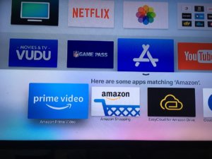 PrimeVideo Siri search