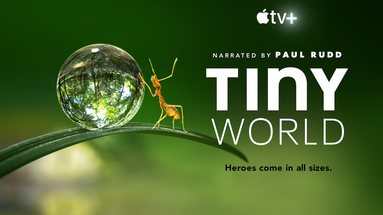 Apple TV Tiny World Mały świat
